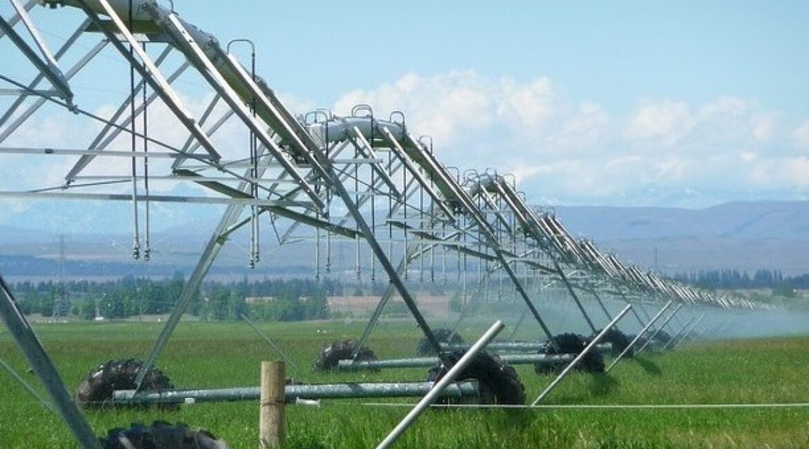 Эксперт: Мы входим в европейский рейтинг самых развивающихся направлений органического производства
